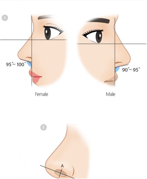 Philosophy of nose surgery GRACEONYOUNG PLASTIC SURGERY