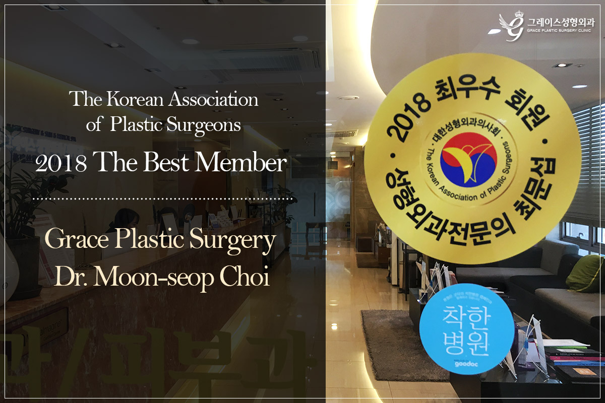 The Best Member of The Korean Association of Plastic Surgeons